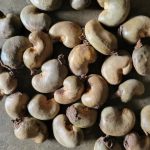 Cashew Nut